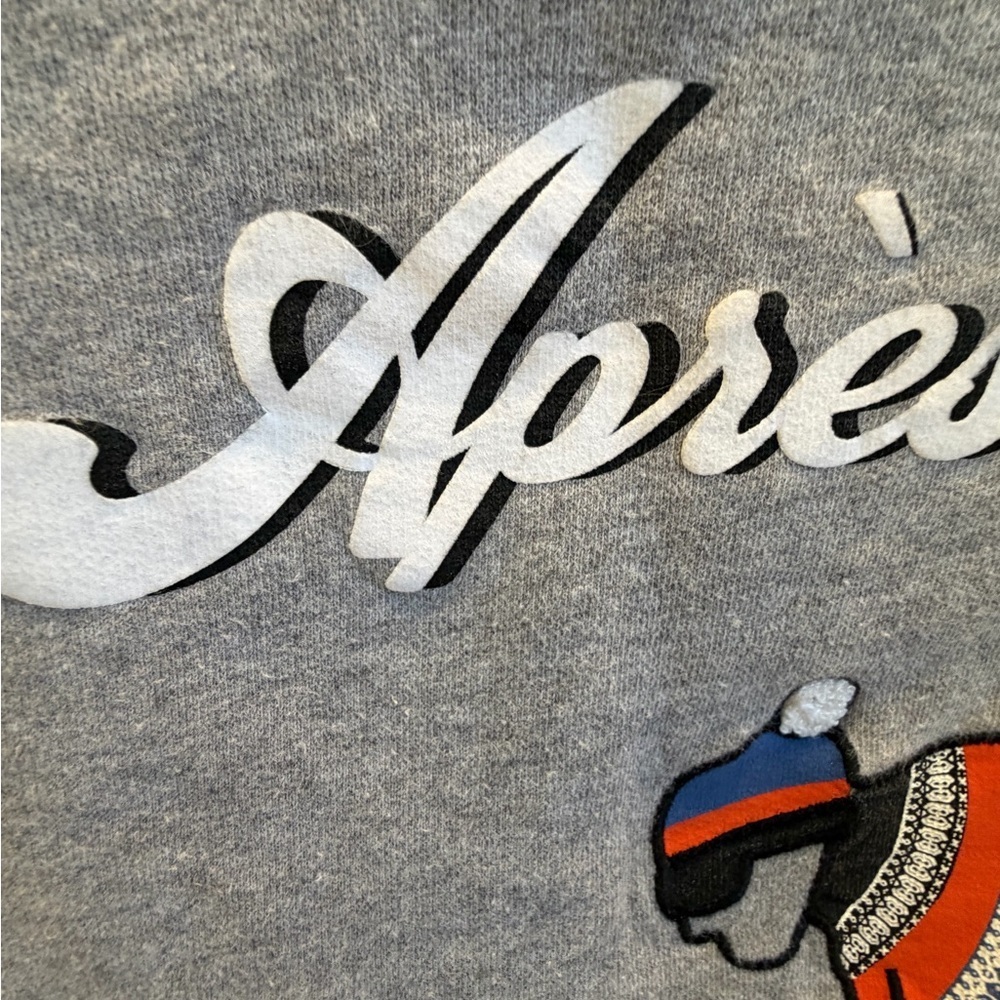 Small Anthropologie kule Apres Ski oversized sweatshirt gray embroidered - Picture 10 of 16